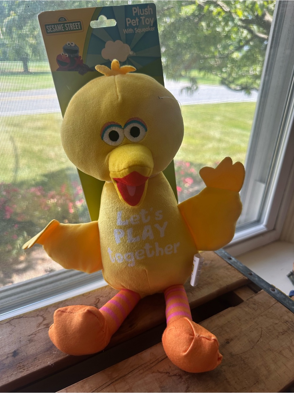Sesame Street Big Bird 14”Plush Pet Toy With Clinker & Squeaker "Let's Play ...